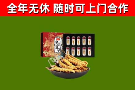五寨回收冬虫夏草价格