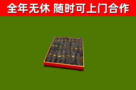 五寨回收海参